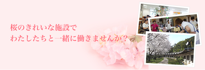 桜のきれいな施設でわたしたちと一緒に働きませんか？